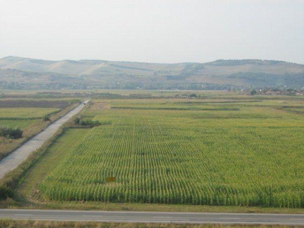 Teren agricol Giurgiu - Pret | Preturi Teren agricol Giurgiu
