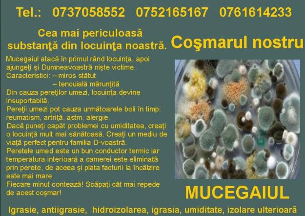 Mold Removal, Igrasie, igrasia, umiditate, izolare ulterioară, hidroizolarea, antiigrasie - Pret | Preturi Mold Removal, Igrasie, igrasia, umiditate, izolare ulterioară, hidroizolarea, antiigrasie