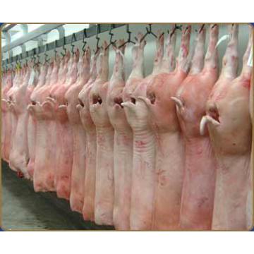 Carcasa porc oparit refrigerata - Pret | Preturi Carcasa porc oparit refrigerata