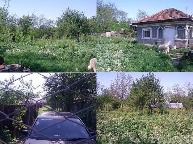 Casa si teren 11000mp Branistea de Titu, Dambovita. - Pret | Preturi Casa si teren 11000mp Branistea de Titu, Dambovita.