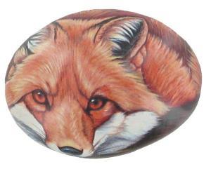 Fox Picture Stone Medium - Pret | Preturi Fox Picture Stone Medium