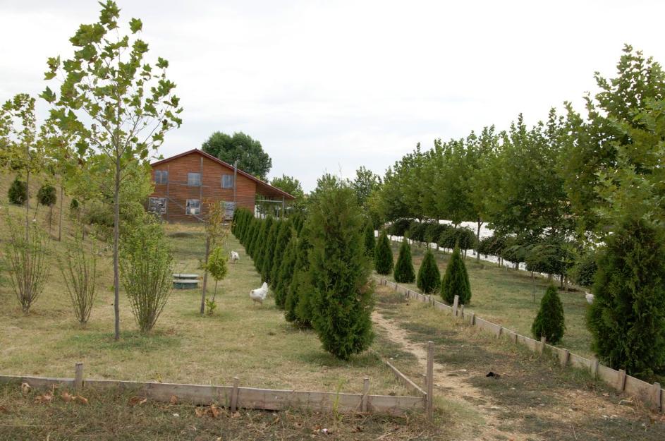 Vand ferma piscicola Totita / Balta Totita - Pret | Preturi Vand ferma piscicola Totita / Balta Totita