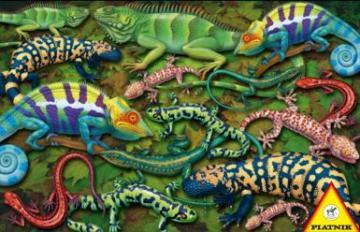 Puzzle Piatnik 1000 Salamandre - Pret | Preturi Puzzle Piatnik 1000 Salamandre