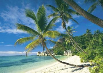 Puzzle Schmidt 2000 Seychelles - Pret | Preturi Puzzle Schmidt 2000 Seychelles