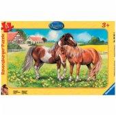 Puzzle - Ponei - Pret | Preturi Puzzle - Ponei