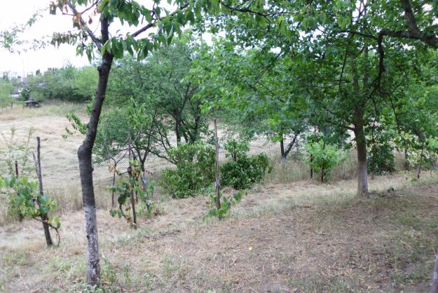 Casa de vanzare cu 4 camere si 8000 mp teren aferent la 80.000euro! - Pret | Preturi Casa de vanzare cu 4 camere si 8000 mp teren aferent la 80.000euro!