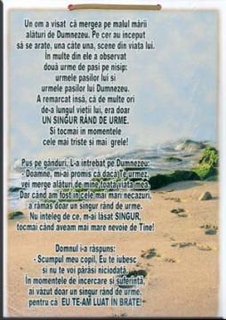 Urme de pasi - Pret | Preturi Urme de pasi