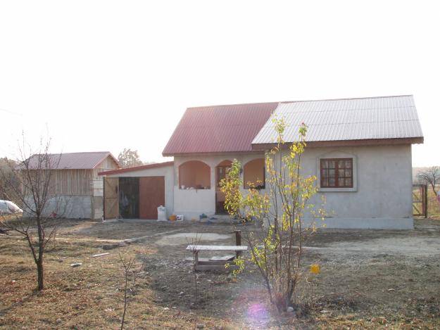 Casa + teren 9500 mp. loc. Vedea, com. Fagetelu, Jud Olt, 30km de Pitesti – 18.000 eur - Pret | Preturi Casa + teren 9500 mp. loc. Vedea, com. Fagetelu, Jud Olt, 30km de Pitesti – 18.000 eur