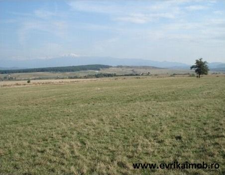 Vand 500 mp teren intravilan pe Calea Cisnadiei - Pret | Preturi Vand 500 mp teren intravilan pe Calea Cisnadiei