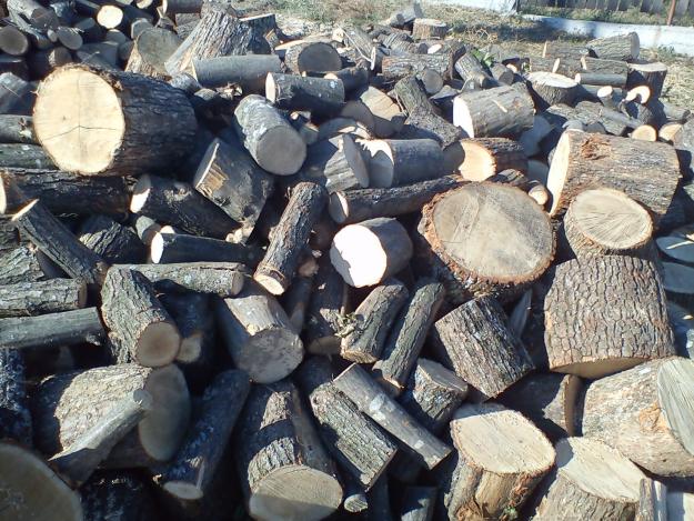 lemn de foc esenta tare, firme lemn de foc esenta tare, oferta lemne de foc esenta tare - Pret | Preturi lemn de foc esenta tare, firme lemn de foc esenta tare, oferta lemne de foc esenta tare
