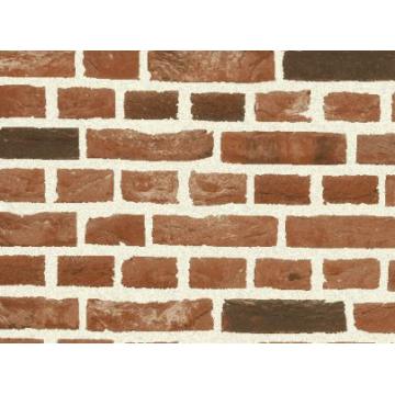 Caramida aparenta Nelissen Old Gothic Baekel Brick - Pret | Preturi Caramida aparenta Nelissen Old Gothic Baekel Brick