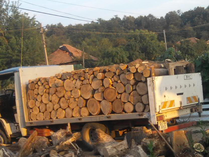 lemn de foc ieftin si bun - Pret | Preturi lemn de foc ieftin si bun