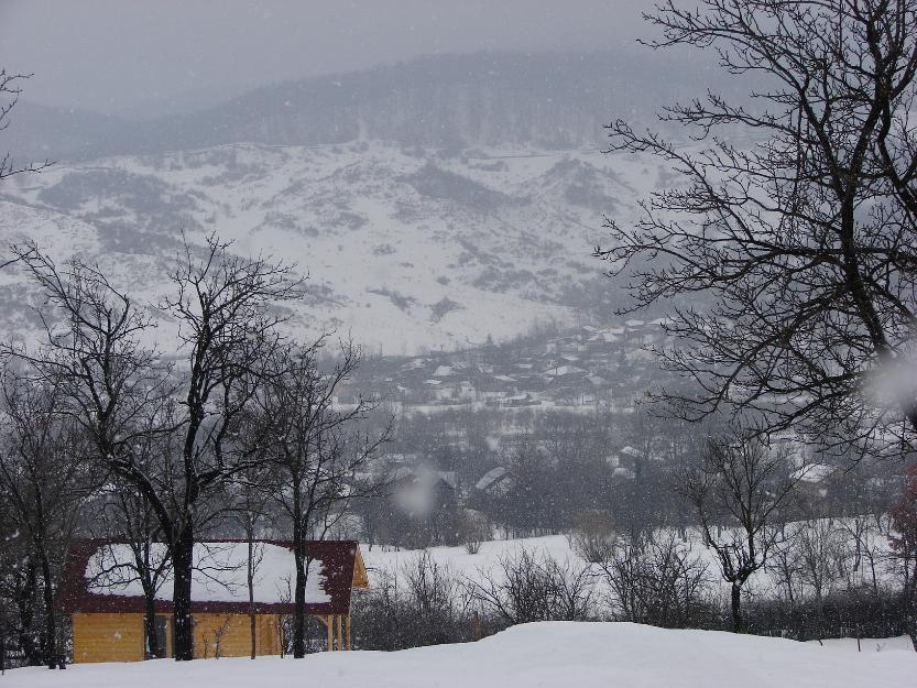 Vand urgent teren la munte cu o casuta de lemn si un proiect de casa. - Pret | Preturi Vand urgent teren la munte cu o casuta de lemn si un proiect de casa.