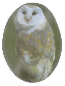 Owl Picture Stone Medium - Pret | Preturi Owl Picture Stone Medium