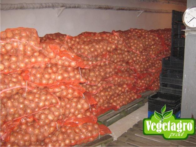 Vegetagro-vand ceapa uscata si/sau procesata - Pret | Preturi Vegetagro-vand ceapa uscata si/sau procesata