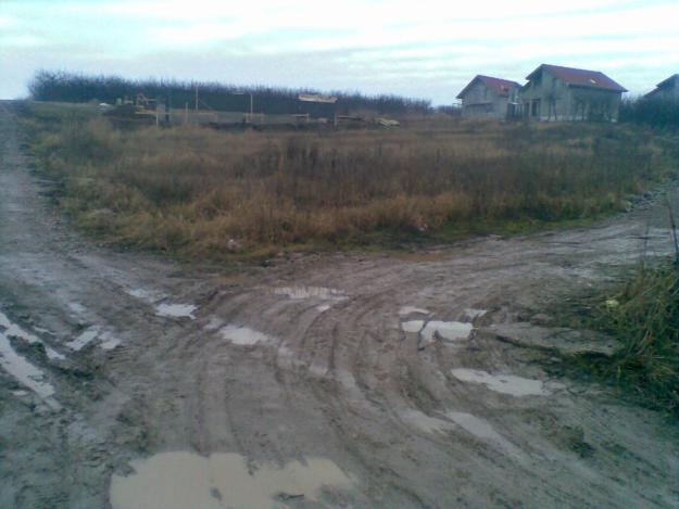 Vand urgent teren intravilan in Paleu - Pret | Preturi Vand urgent teren intravilan in Paleu