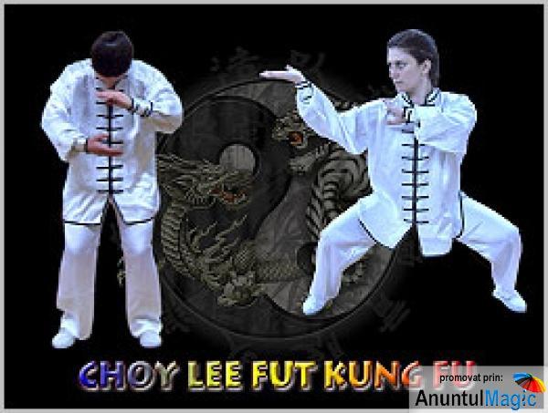 cursuri de arte martiale ( choy lee fut - kung fu) - Pret | Preturi cursuri de arte martiale ( choy lee fut - kung fu)
