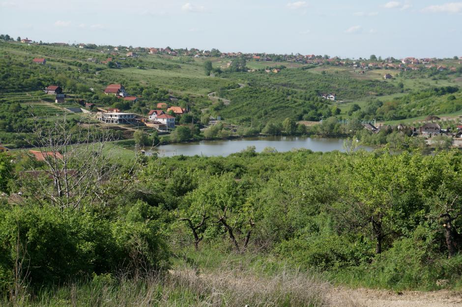 De vanzare teren la Saldabagiu de Munte - Pret | Preturi De vanzare teren la Saldabagiu de Munte