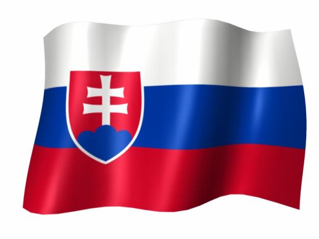 Traduceri limba slovaca si ceha - Pret | Preturi Traduceri limba slovaca si ceha