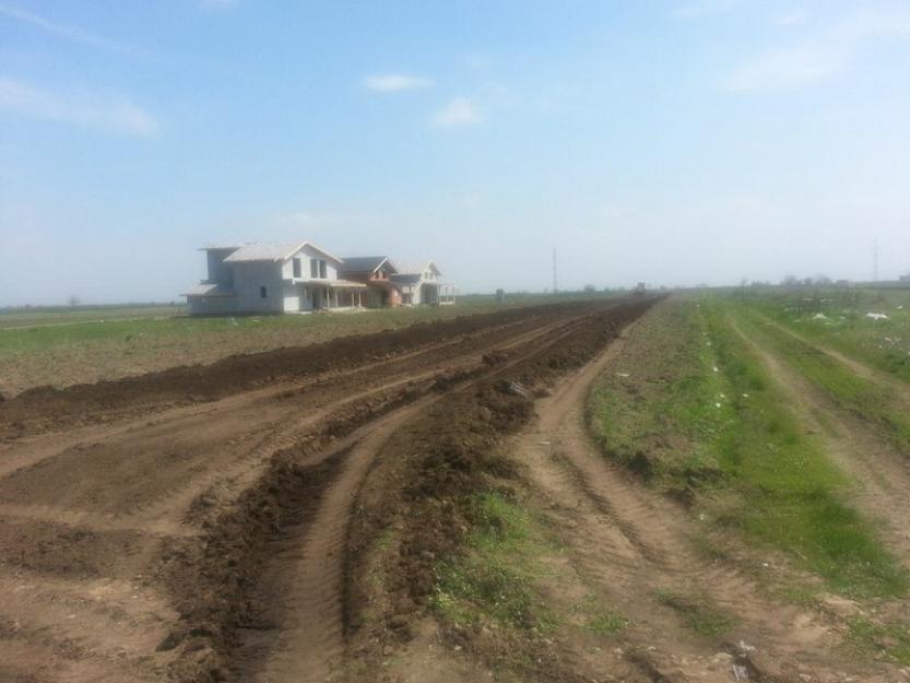 Vanzare terenuri intravilane in Berceni (Ilfov) - Pret | Preturi Vanzare terenuri intravilane in Berceni (Ilfov)