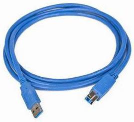 Cablu USB 3.0 A - B, 1.8M, CCP-USB3-AMBM-6 - Pret | Preturi Cablu USB 3.0 A - B, 1.8M, CCP-USB3-AMBM-6