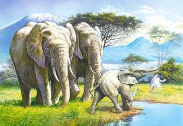 Puzzle Castorland 120 Familia de elefanti - Pret | Preturi Puzzle Castorland 120 Familia de elefanti