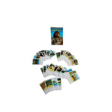 Carti de joc copii animale salbatice - Pret | Preturi Carti de joc copii animale salbatice