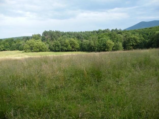 Teren intravilan Codlea, zona Geamana - Pret | Preturi Teren intravilan Codlea, zona Geamana