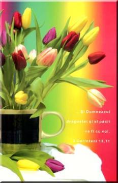 Felicitare FVS10 - Pret | Preturi Felicitare FVS10