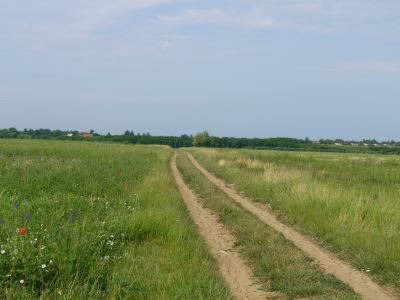 Tartasesti teren agricol 35 ha de vanzare/5600 euro - Pret | Preturi Tartasesti teren agricol 35 ha de vanzare/5600 euro