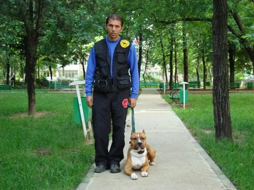 DRESAJ CANIN,DOG SITTER,TAXI DOG,SERVICII DE VANATOARE - Pret | Preturi DRESAJ CANIN,DOG SITTER,TAXI DOG,SERVICII DE VANATOARE