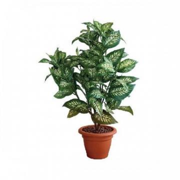 Planta din plastic si matase, inaltime 75cm, VEPA BINS Dieffenbachia - Pret | Preturi Planta din plastic si matase, inaltime 75cm, VEPA BINS Dieffenbachia