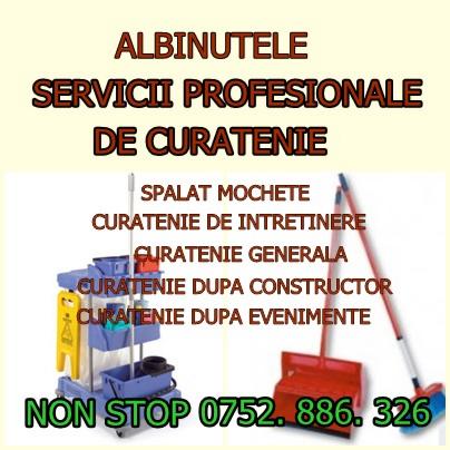 curatenie generala.de intretinere,abonament - Pret | Preturi curatenie generala.de intretinere,abonament