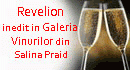 Oferte de revelion Praid 2009-2010 - Pret | Preturi Oferte de revelion Praid 2009-2010