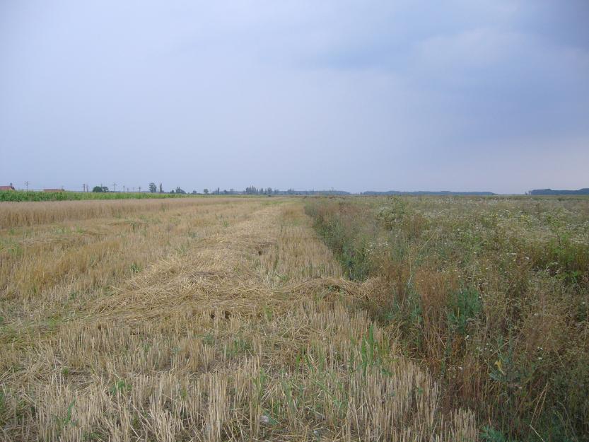 Teren agricol 1000 ha, la 5800 euro/ha - Pret | Preturi Teren agricol 1000 ha, la 5800 euro/ha