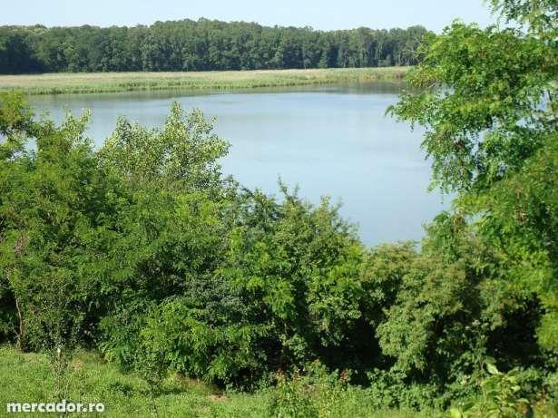 Teren cu deschidere la lacul Caldarusani - Pret | Preturi Teren cu deschidere la lacul Caldarusani