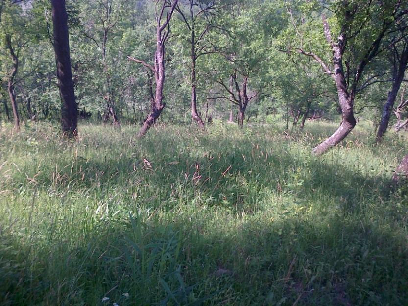 Teren Intravilan de Vanzare in Breaza , zona Gura Beliei. - Pret | Preturi Teren Intravilan de Vanzare in Breaza , zona Gura Beliei.