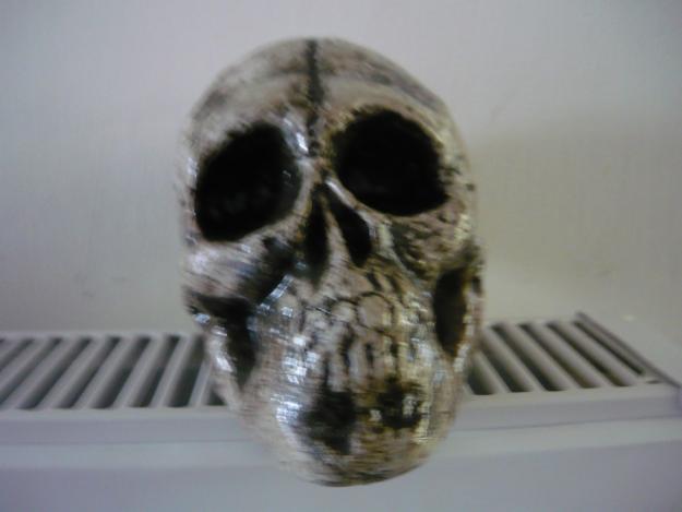 craniu decorativ - Pret | Preturi craniu decorativ