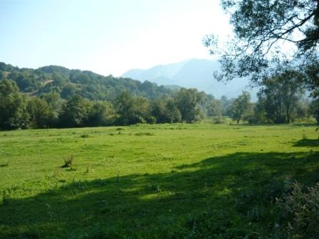 Vanzare teren Rasnov Cheia, 4 parcele alaturate - Pret | Preturi Vanzare teren Rasnov Cheia, 4 parcele alaturate