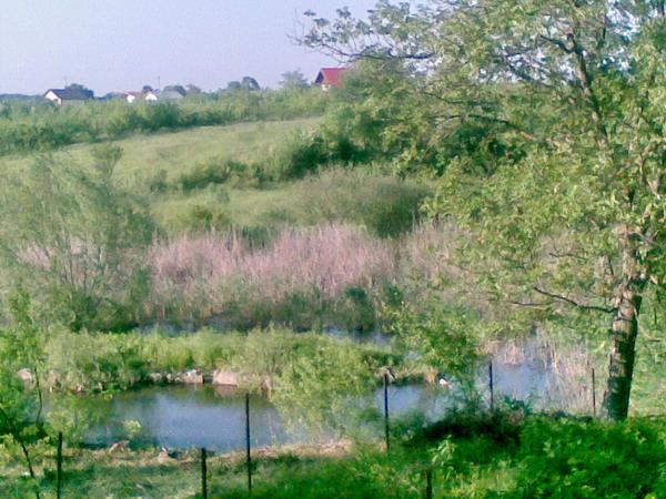 Terenuri Lac si Padure Scrovistea - Pret | Preturi Terenuri Lac si Padure Scrovistea