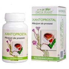 Xantoprostal *60cpr - Pret | Preturi Xantoprostal *60cpr