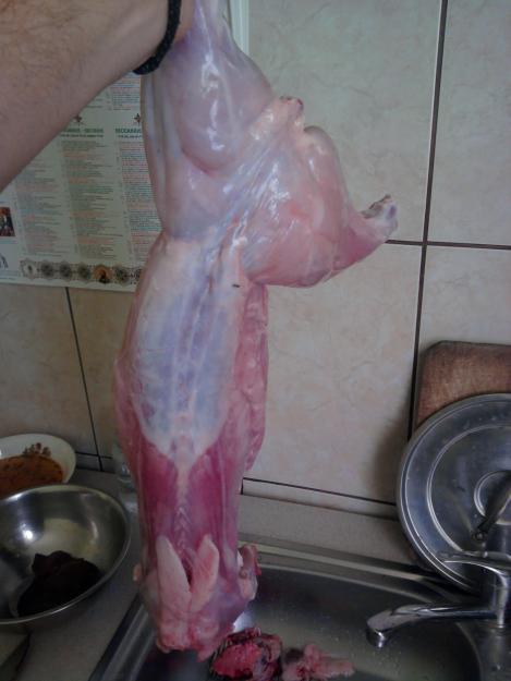 Vand carne de iepure - Pret | Preturi Vand carne de iepure