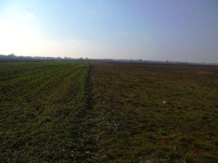 Buzau teren agricol 70 ha, 3300 euro/ha - Pret | Preturi Buzau teren agricol 70 ha, 3300 euro/ha