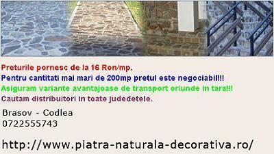 PIATRA GARD PIATRA CURTE PLACARI PLACAT PAVAJ SOCLU - Pret | Preturi PIATRA GARD PIATRA CURTE PLACARI PLACAT PAVAJ SOCLU