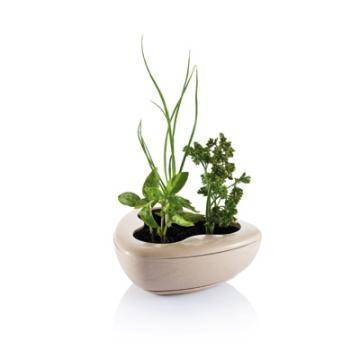 Gradina aromatica Eco - Pret | Preturi Gradina aromatica Eco