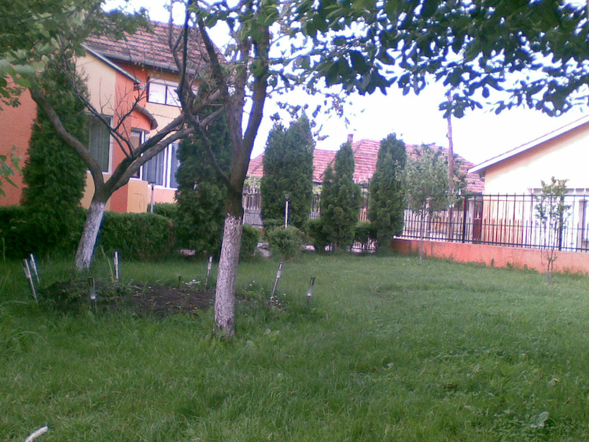  - Pret | Preturi 