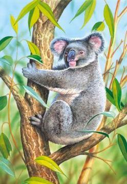 Puzzle Castorland 120 Koala - Pret | Preturi Puzzle Castorland 120 Koala