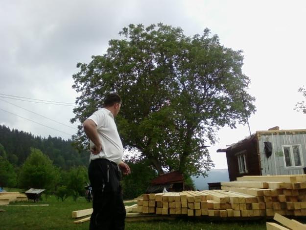 Constructie cabane lemn - Pret | Preturi Constructie cabane lemn