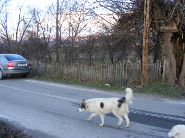 TEREN PENTRU CASA DE VACANTA! - Pret | Preturi TEREN PENTRU CASA DE VACANTA!