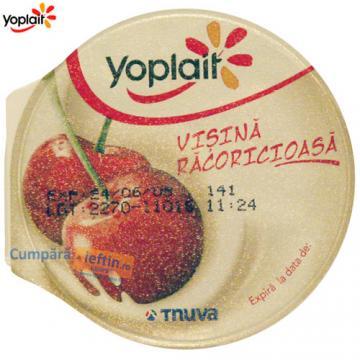 Iaurt 3.6% Yoplait visine 125 gr - Pret | Preturi Iaurt 3.6% Yoplait visine 125 gr